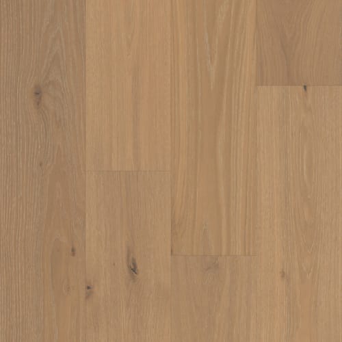 Vestige in Sonoran Oak