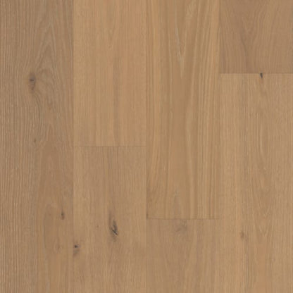 Vestige in Sonoran Oak
