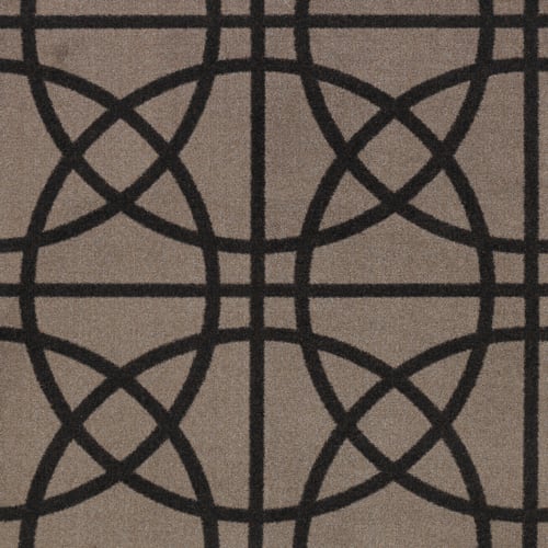 Fast Break - 26 in Brown Carpet