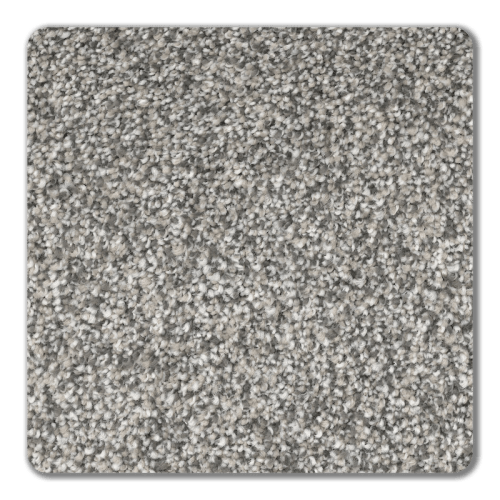 Florence in Gravity Carpet