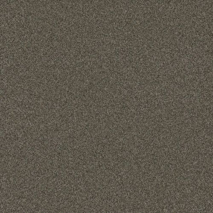 BLAZER II