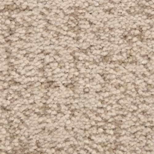 Mystique in Studio Carpet