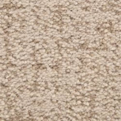 Mystique in Studio Carpet