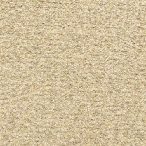Colorworks in Moonlight Carpet