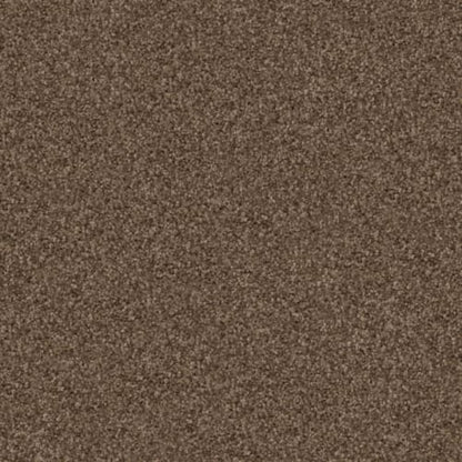 Maverick in Bassett Carpet