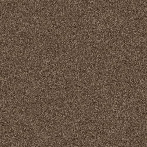Maverick in Bassett Carpet