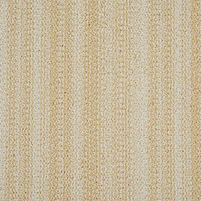 Halo - Stripe