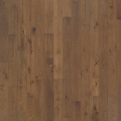 Latitude Collection - Latitude Collection in Trail