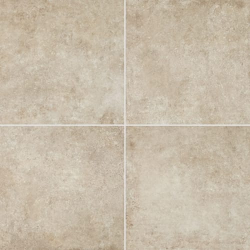 Historic Limestone in Native-24x24-Matte Tile