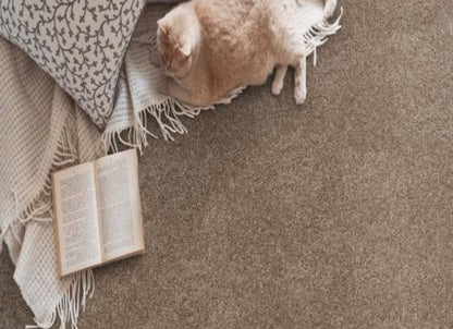 HENRY in Latte Carpet
