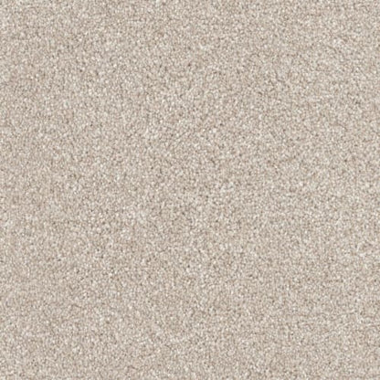 Husky in Sheltie Carpet