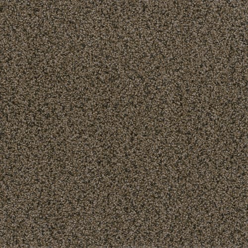 In a Snap in Rustic Charm Carpet Tile