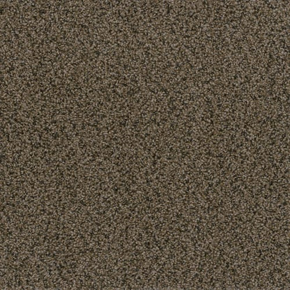 In a Snap in Rustic Charm Carpet Tile