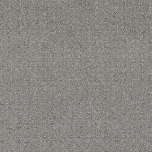 Superb in Icefield Carpet