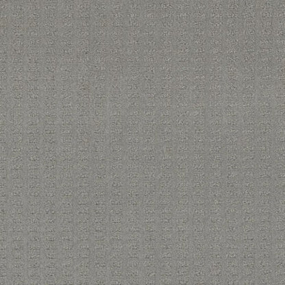 Superb in Icefield Carpet