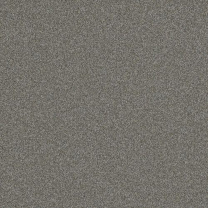 BLAZER I in Jadestone Carpet