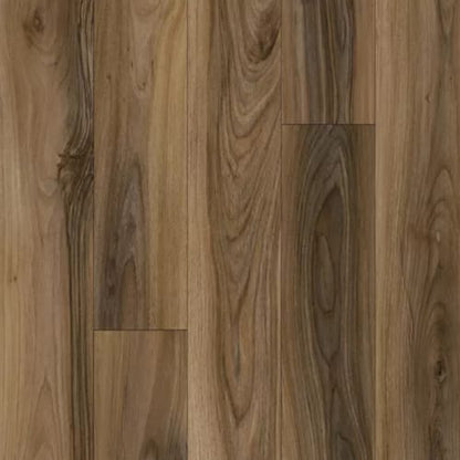 Refined Forest in Sienna