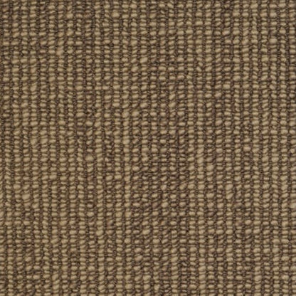 Kennedy Point in Charcoal Carpet