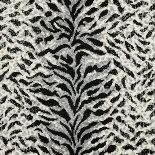 King Tiger in Tuxedo Carpet