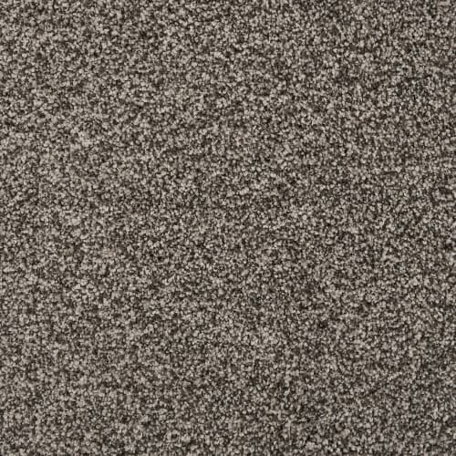 Knights Tale II in Cinder Carpet