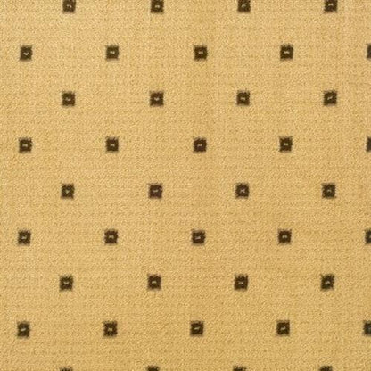 Lake Collection - Lake Geneva