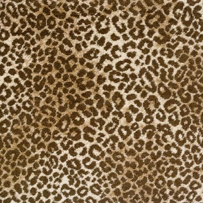 Lake Collection - Lake Jaguar