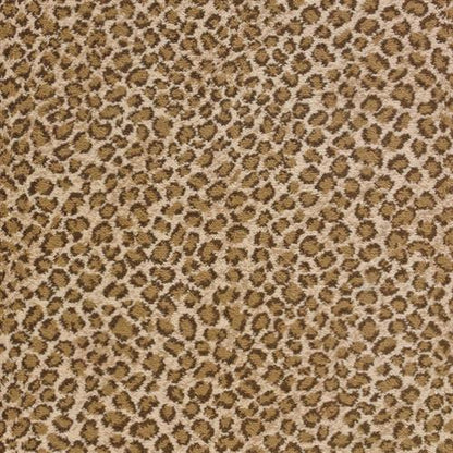 Lake Collection - Lake Safari