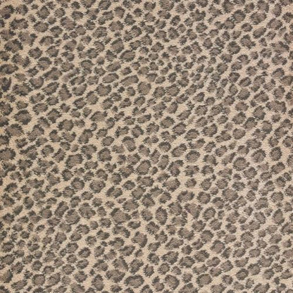 Lake Collection - Lake Safari