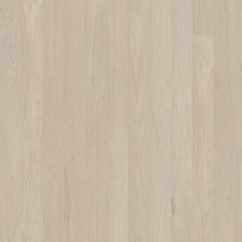 Life Collection in Coconut Cream Wide