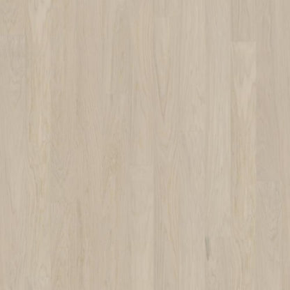 Life Collection in Coconut Cream Wide