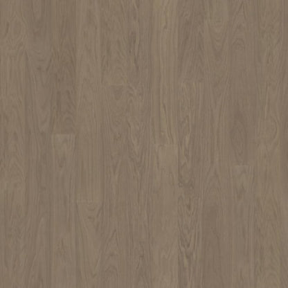 Life Collection in Earl Grey Wide