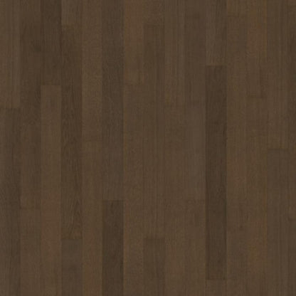 Life Collection in Cocoa Bean Narrow