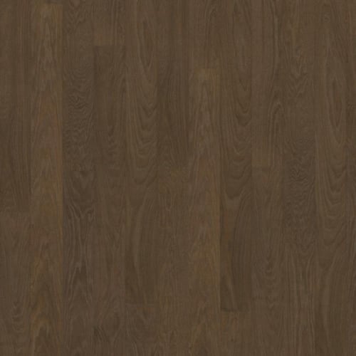 Life Collection in Cocoa Bean Wide