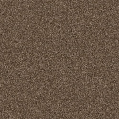 Labrador