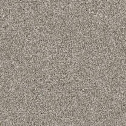 Labrador