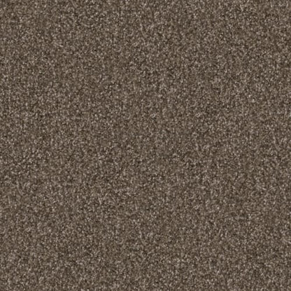 Labrador