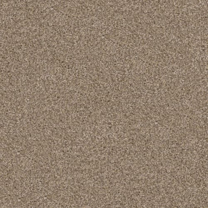 Labrador