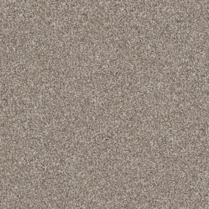 Labrador