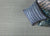 Leeward in Deep Tropic Carpet