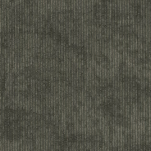 Biotic in Composition Carpet Tile