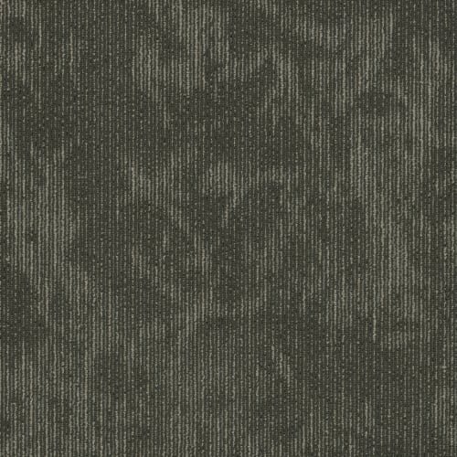 Esthetic