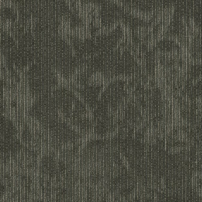 Esthetic