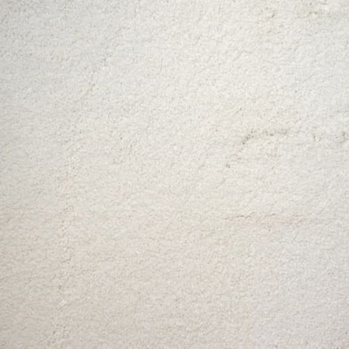 Merry in Polar Carpet