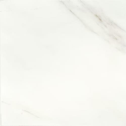 Mirasol in Bianco Carrara-12x12 Tile