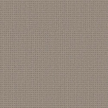 Finely Detailed in Natural Sisal Carpet