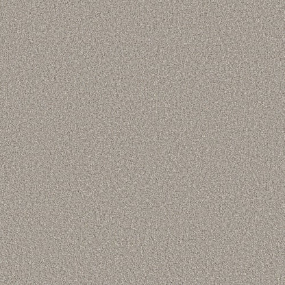 Elevated I in Silver Mist Carpet