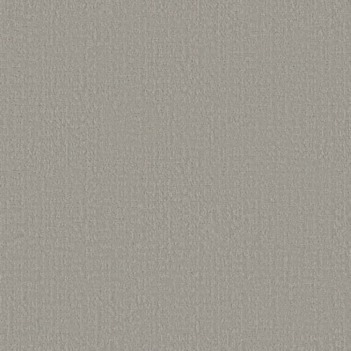 Studio Plaza in Sterling Carpet