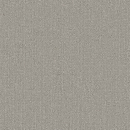 Studio Plaza in Sterling Carpet
