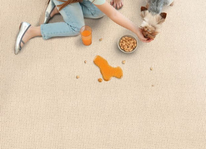 Atelier Camelot in Sea Salt Carpet
