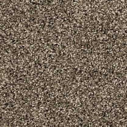 Canine Chic in Matte Carpet